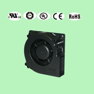 91抖音APP下载12032 91抖音APP下载12032