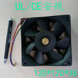 12038高风量91抖音APP下载