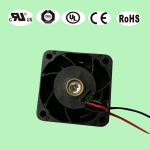 402891抖音APP下载